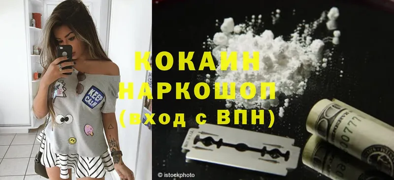 купить   Бикин  Cocaine Fish Scale 